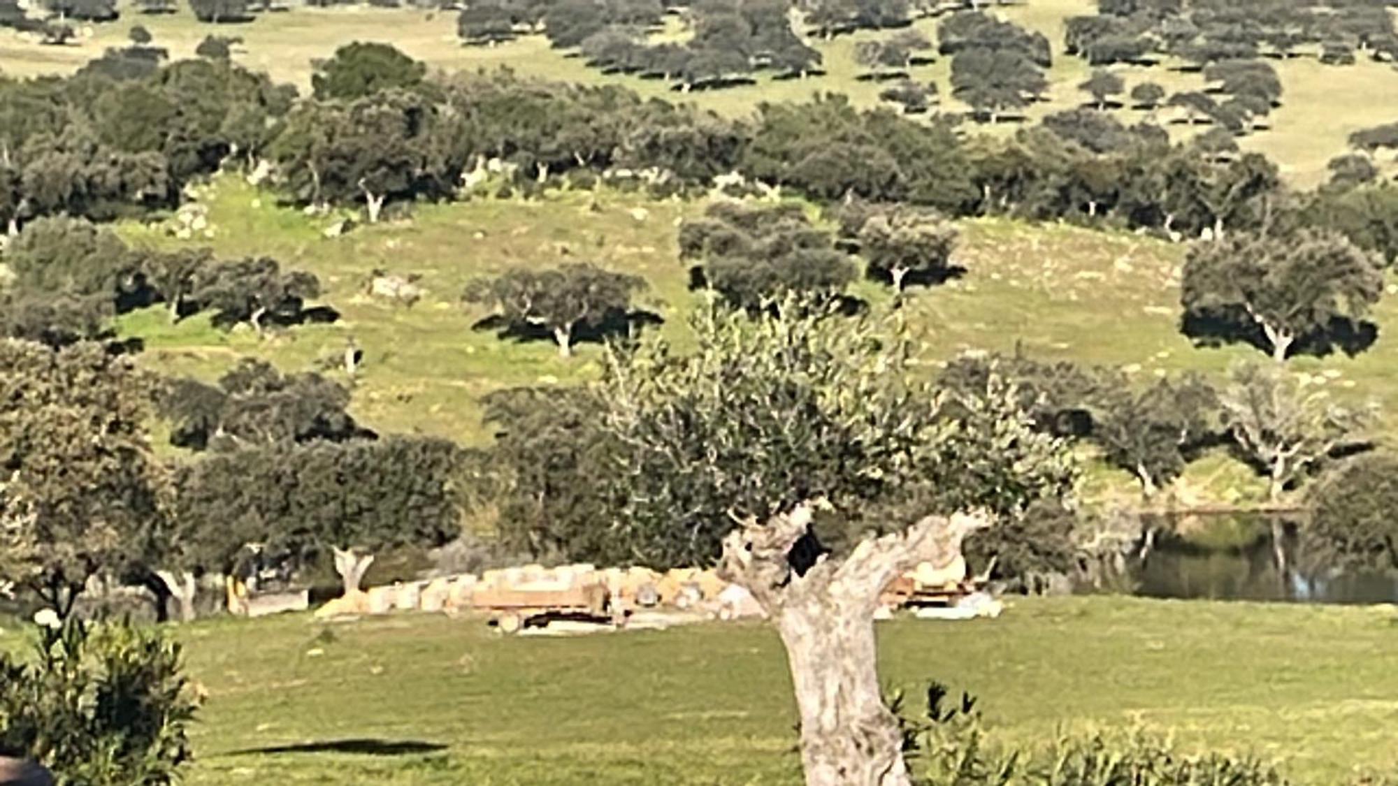 فيلا Monte Dos Cordeiros Vila Viçosa المظهر الخارجي الصورة